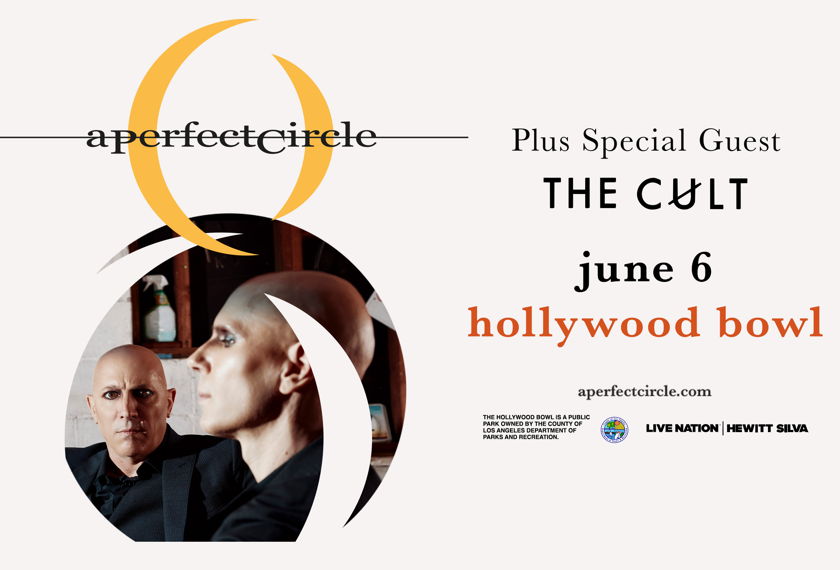 A Perfect Circle artwork